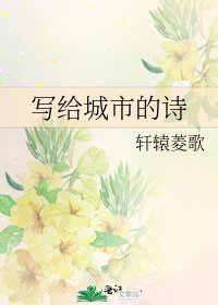 《写给城市的诗》