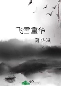 《飞雪重华》