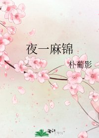 《夜一麻锦》