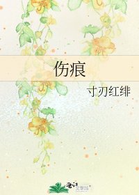 《伤痕》