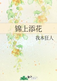 锦上添花