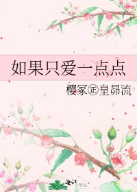 《如果只爱一点点》