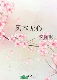 《风本无心》