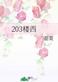 203楼西