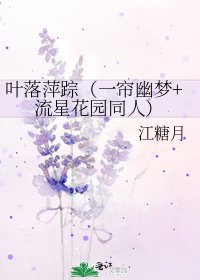 叶落萍踪（一帘幽梦+流星花园同人）