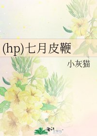 (hp)七月皮鞭