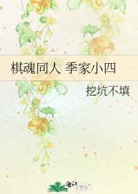 棋魂同人 季家小四