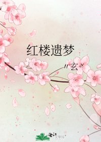 红楼遗梦