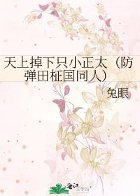 《天上掉下只小正太(防弹田柾国同人)》