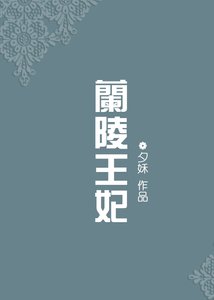 《兰陵王妃续》