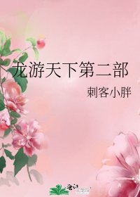 《龙游天下第二部》
