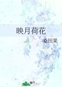 映月荷花