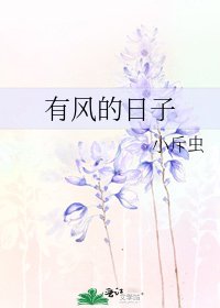 有风的日子