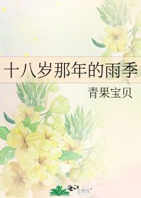 《十八岁那年的雨季》