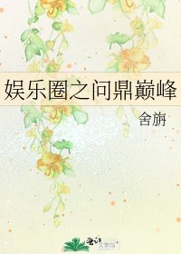 娱乐圈之问鼎巅峰