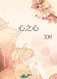 心之心