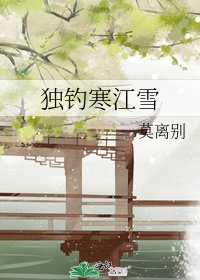 《独钓寒江雪》