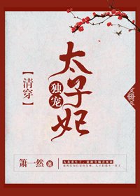 《清穿独宠太子妃》
