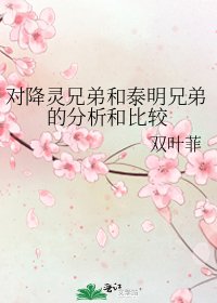 《对降灵兄弟和泰明兄弟的分析和比较》