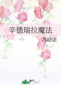 《辛德瑞拉魔法》