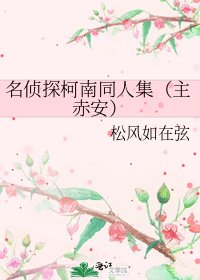 《名侦探柯南同人集(主赤安)》