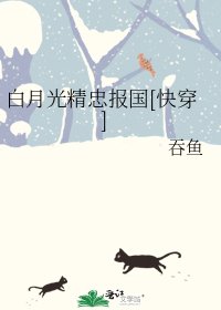 白月光精忠报国[快穿]
