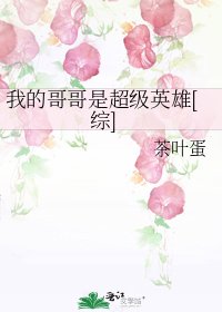 我的哥哥是超级英雄[综]