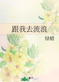 跟我去流浪