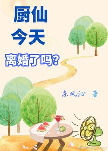 《厨仙今天离婚了吗》