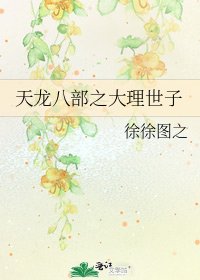 天龙八部之大理世子