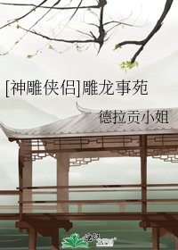 [神雕侠侣]雕龙事苑