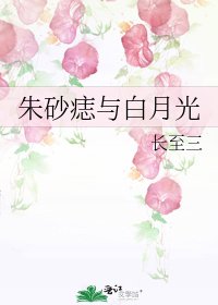 朱砂痣与白月光