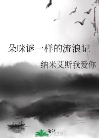 朵咪谜一样的流浪记