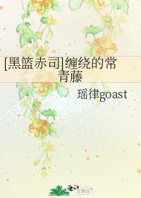 [黑篮赤司]缠绕的常青藤