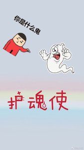 《护魂使》