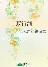 双行线