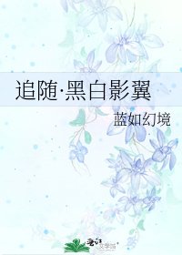 《追随·黑白影翼》