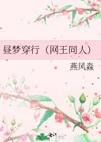 《昼梦穿行(网王同人)》