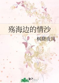 《殇海边的情沙》