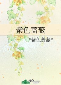 《紫色蔷薇》