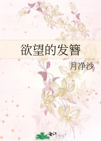 《欲望的发簪》