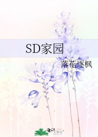 《SD家园》