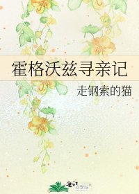 《霍格沃兹寻亲记》