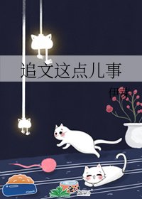 《追文这点儿事》