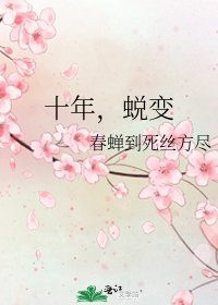 《十年,蜕变》
