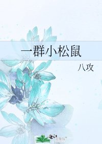 一群小松鼠
