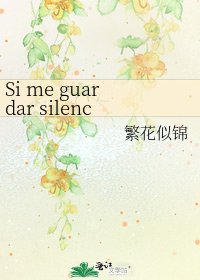 《Si me guardar silencio如果我沉默》