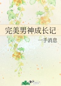 完美男神成长记