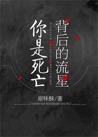 你是死亡背后的流星