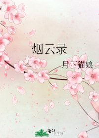 《烟云录》